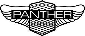 Panther logo